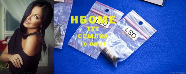 сатива Михайловка