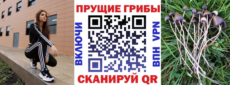 mega ONION Апрелевка Галлюциногенные грибы GOLDEN TEACHER